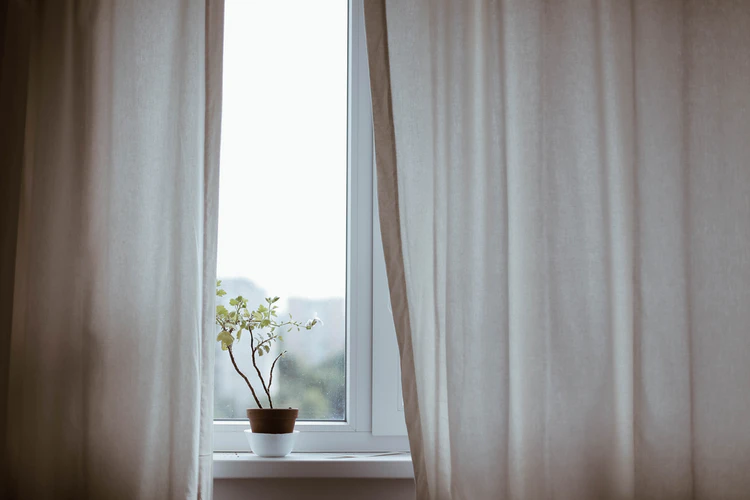White curtains flowing with a potted plant on the window sill